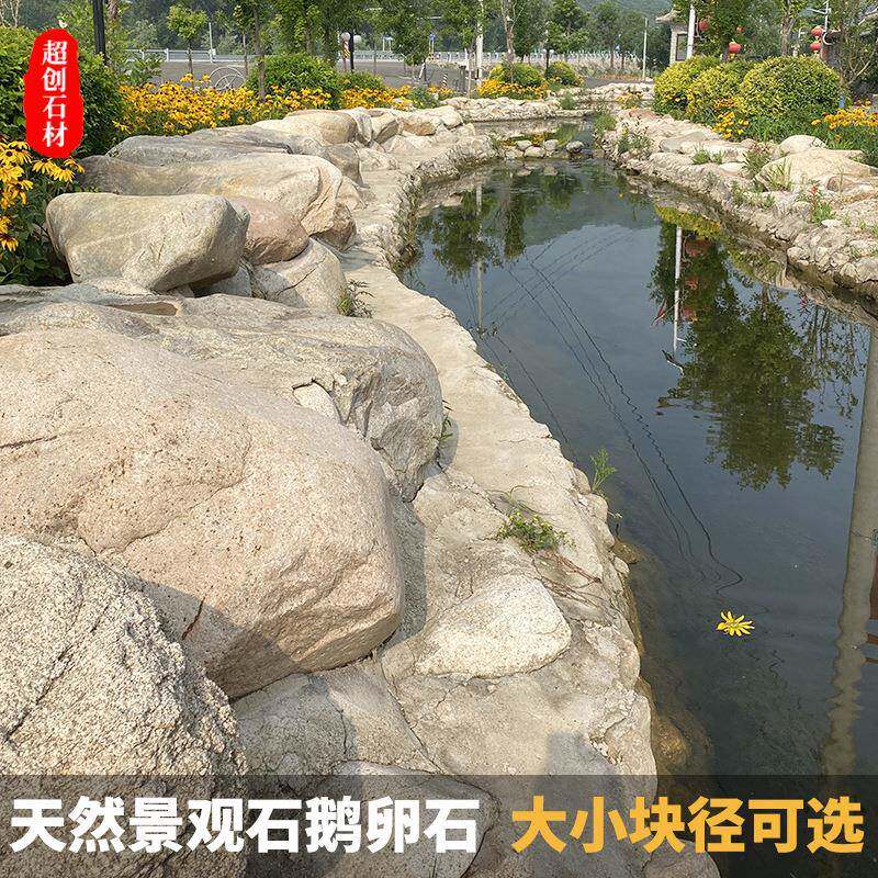园林景观用河卵石人工湖铺设用河道石驳岸石铺路鹅卵石草坪石头