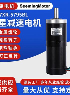 SG57XR-5795BL无刷行星减速电机 电动滚筒减速电机行星减速电机