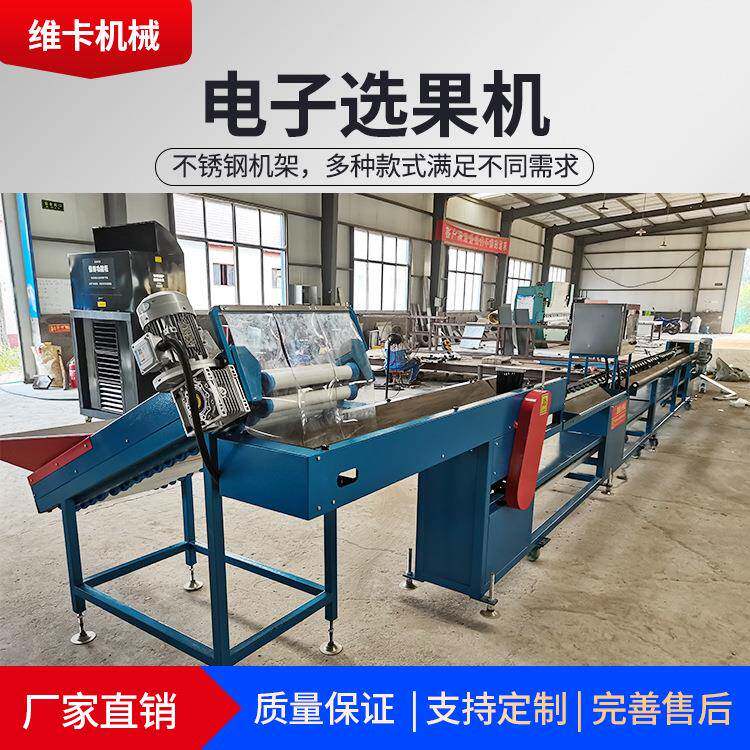 猕猴桃电脑选果机电子称重分选猕猴桃大小分选机电子智能选果机