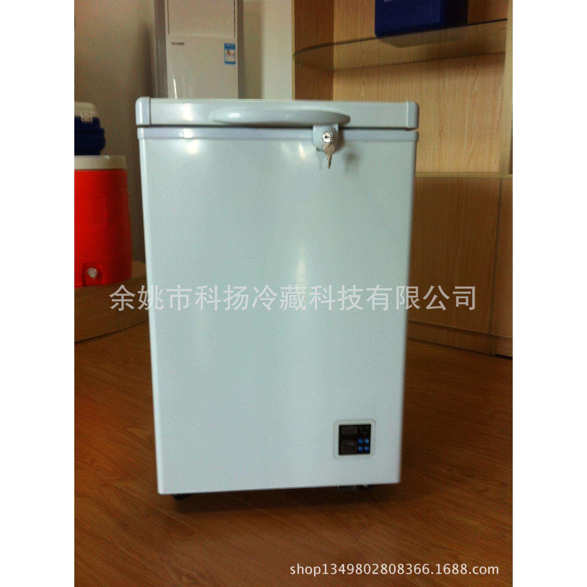 108L电子控温直流冷柜蓄电池冰柜插电太阳能冷柜车载冰箱12V24V