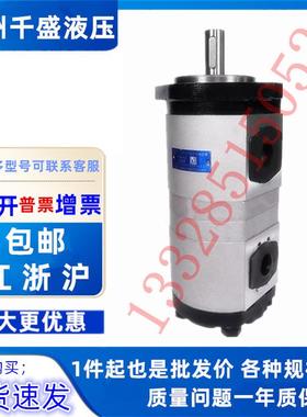 合肥长源CBHLB-F540/F520-AFH双联齿轮油泵CBHLD-F550/F520-AFH