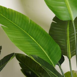北旅欧仿真绿植旅人蕉系人蕉盆栽轻奢风家生居件客厅落地装饰摆仿