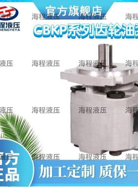 CBKP系列齿轮油泵单联泵C齿轮泵
