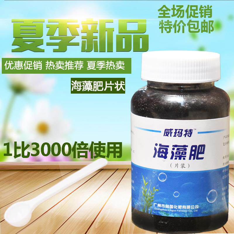 海藻肥直销进口马尾藻生物提取肥海洋生物肥海藻精粉片状
