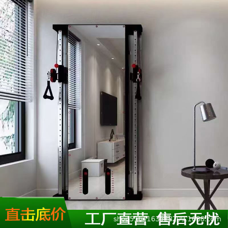墙体镜面小飞鸟外贸贴墙小飞鸟综合训练器龙门架壁挂式墙体小飞鸟