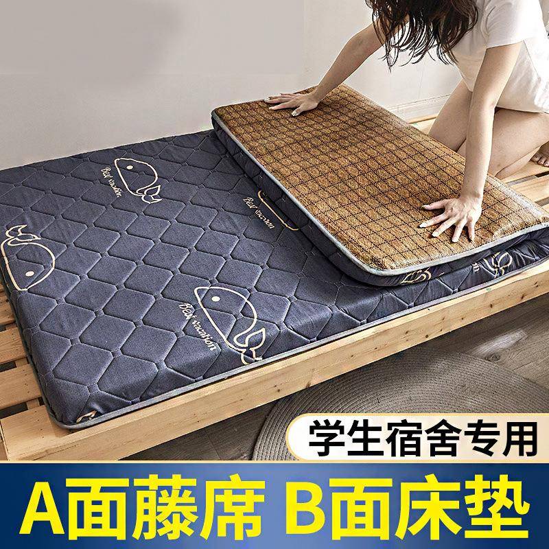 新款多功能春夏通用床垫床褥A面冰藤B面亲肤棉宿舍床垫褥
