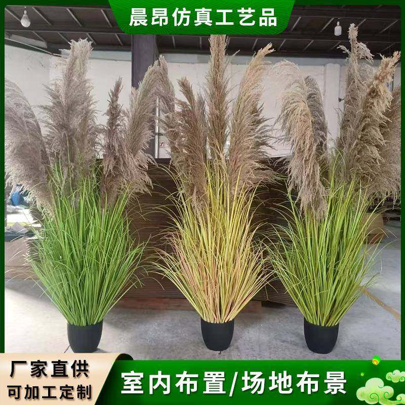 仿真绿植盆栽真芦苇仿真植物家居装饰品摆件大型芦苇假花仿真盆景,纺织面料/辅料/配套,纺织机械配件,淘宝优惠券,粉丝福利购,淘宝优惠卷
