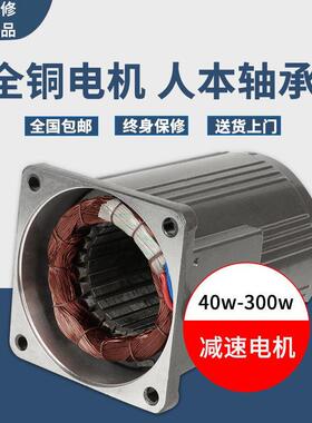 蜗轮蜗杆减速电机调0速马达1微型5W22549545W40W60W9W10W减速电机