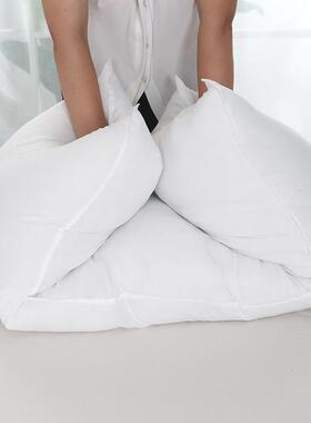 出口高弹动NTMF等身枕芯羽棉丝单双人靠垫枕漫抱头批分销