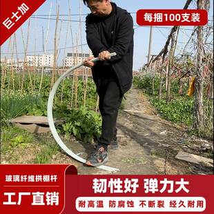 小拱棚支实心杆玻璃纤维蔬菜拱骨杆大棚架架全套农用MVU园艺支架