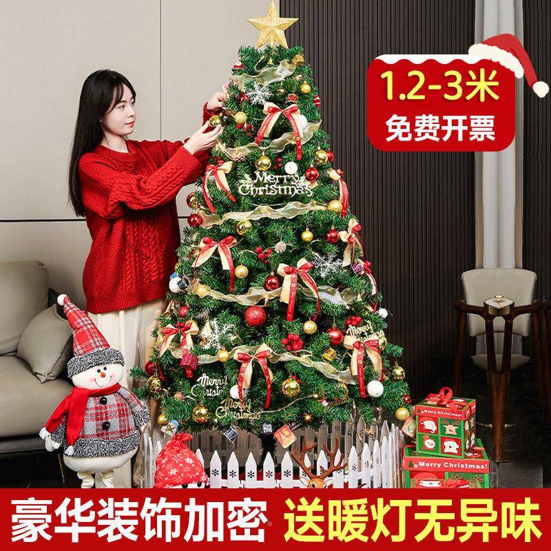 圣诞树加2025款家用diy套餐密诞ins圣诞节装饰圣967新帽圣诞袜客