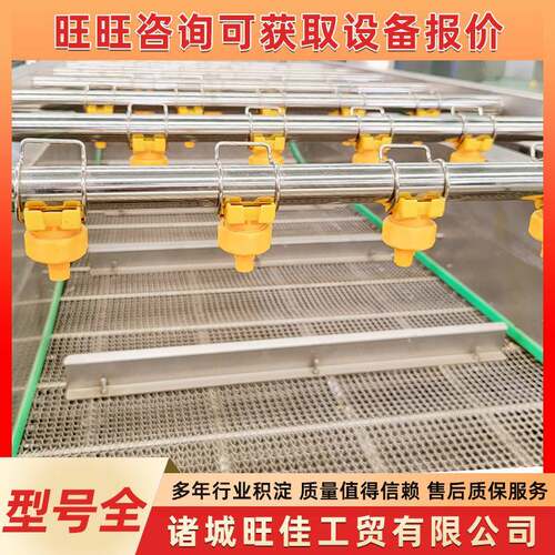 丝瓜苦瓜全自动气泡清洗机果蔬清洗加工流水线红提多功能清洗机
