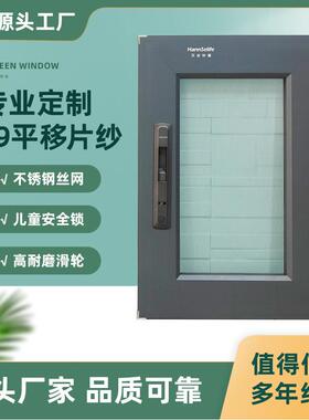 移窗可推拉金刚网平移纱窗带锁可拆洗铝合金片纱防蚊纱窗型材窗纱