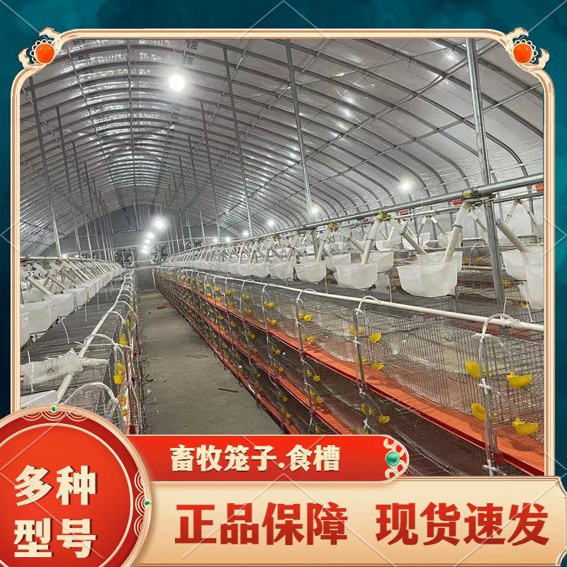 层叠现代化鹌鹑笼子阶梯式饲养笼全自动喂水养殖设备6层立式笼子
