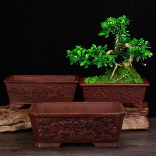 紫砂花盆仿古长方形客厅创意个性盆景榕树老庄绿植黑松盆栽中国风