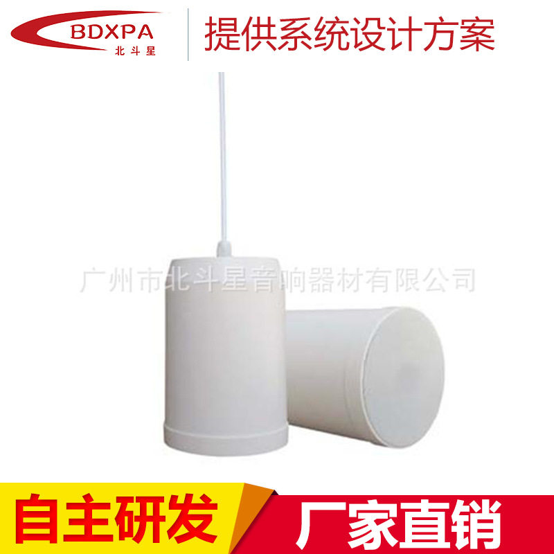 批量供应BDXPA商场超市吊顶音响吊球喇叭吊装球形音箱吊顶喇叭