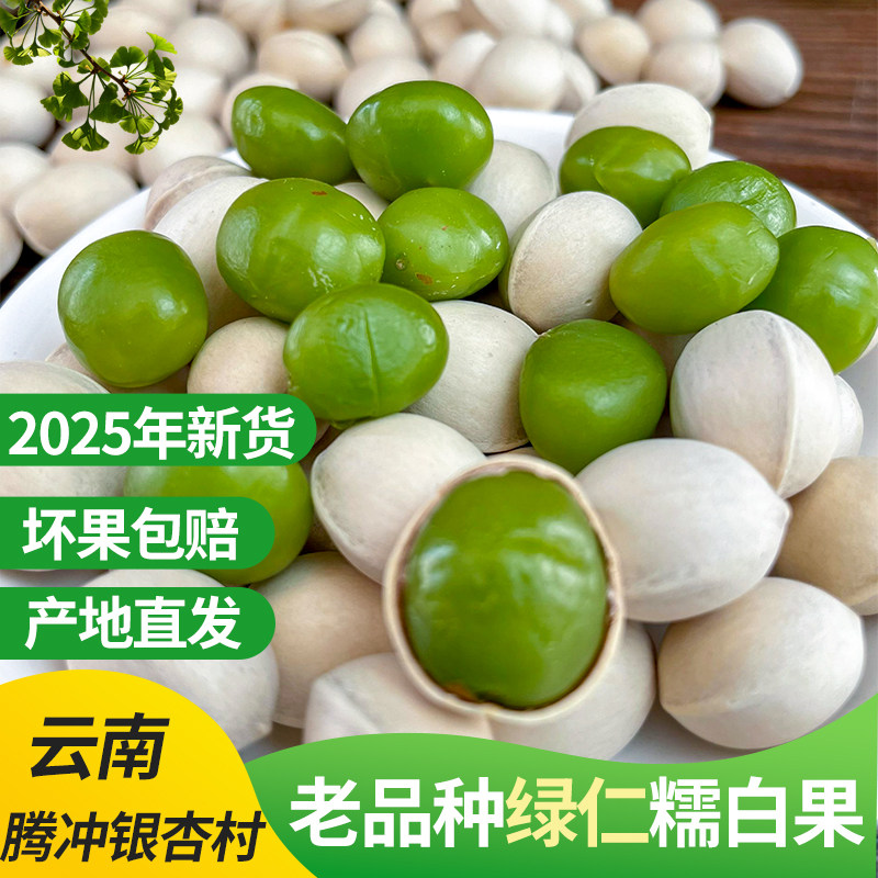 2026年新货绿芯白果新鲜银杏果仁带壳生白果零食特产古树软糯白果
