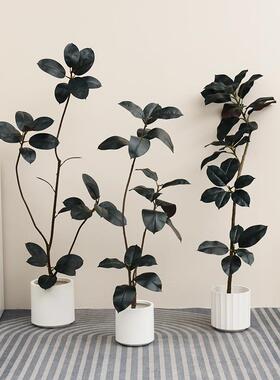 黑金橡皮生RZO树仿真绿植刚高端轻客奢厅摆件大型落地绿叶榕仿假