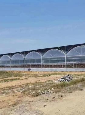 连栋温室大棚薄膜连大棚家农业育苗温室种植厂大连栋棚遮VOR阳大