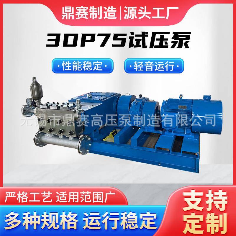 厂家供应现货3DP75三柱塞往复试压泵高压海水淡化泵加工