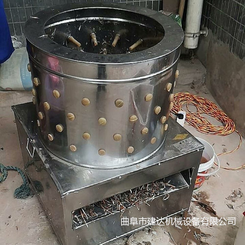 小型脱毛机鸡鸭鹅拔毛加工不锈钢家禽打毛机多少钱电动褪毛机