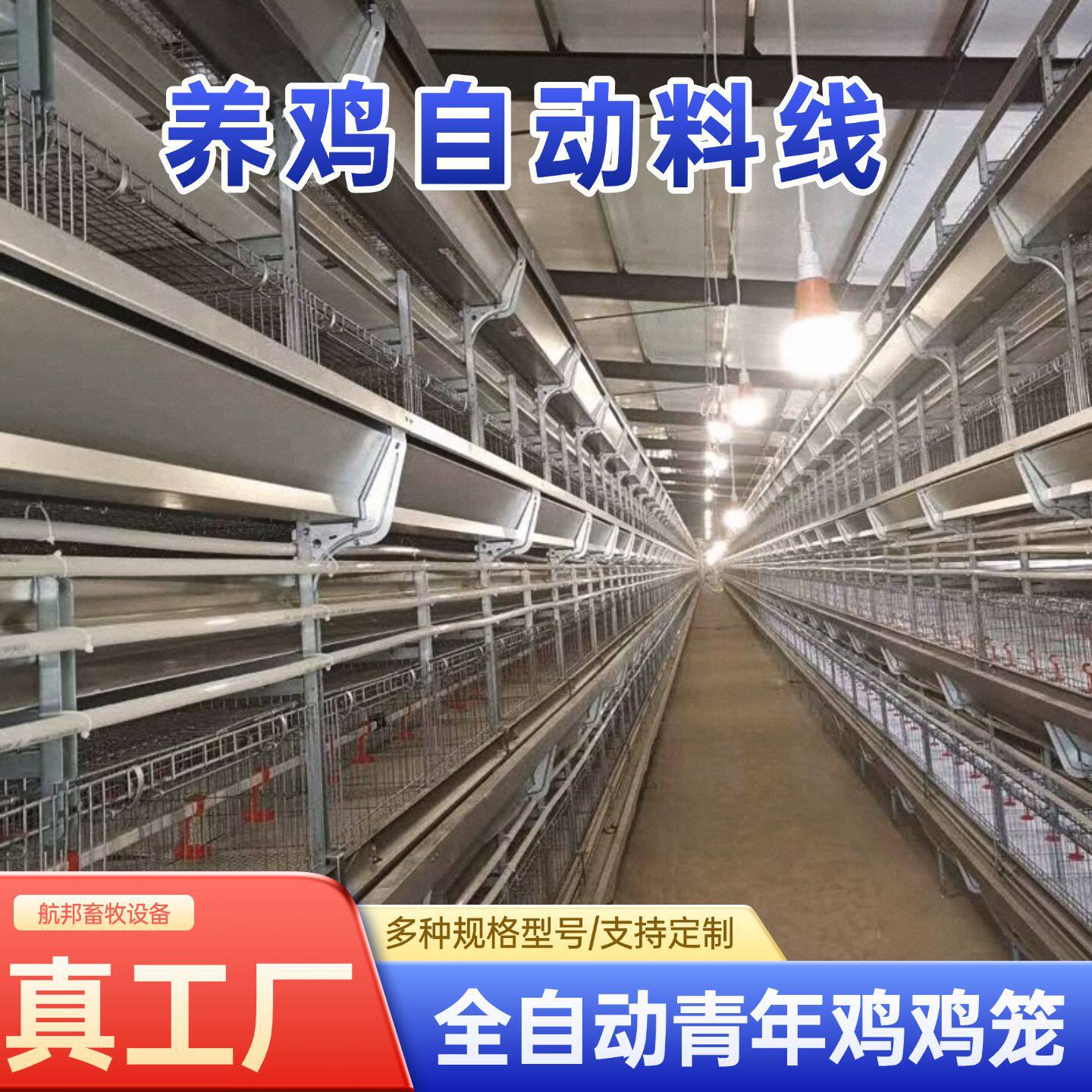 青年鸡全自动框架养鸡笼镀锌自动自动清粪喂料鸡笼青年鸡养殖设备