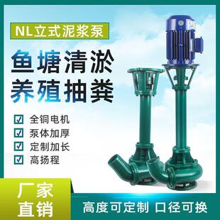 立式泥浆泵抽粪污水泵380V鱼塘清淤泥浆抽沙切割液下泵污水泵