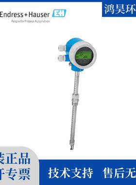 E+H/恩德斯豪斯热式气体质量流量计6BABL26BABL3一体式插入型