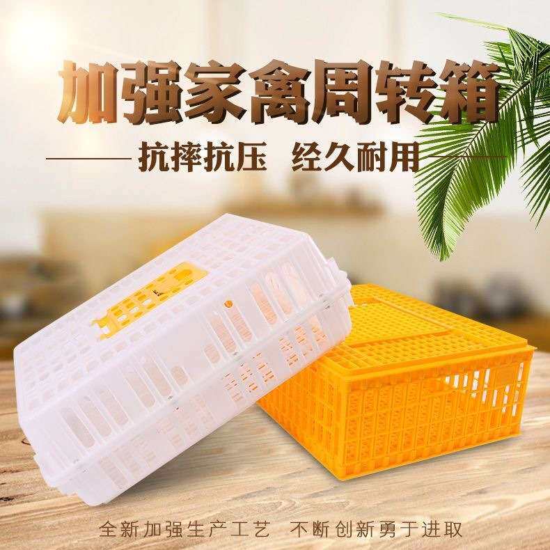 大号周转筐家禽大型运输笼养殖专用厂家 鸡鸭鹅加厚塑料鸡笼