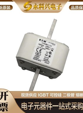 全新巴斯曼快速熔断器170M6217/6218/6219/6220/6221/3408/3409