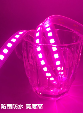 紫色led灯带粉红色紫光超亮12v软灯条家浪漫创意KTV氛围户外防水