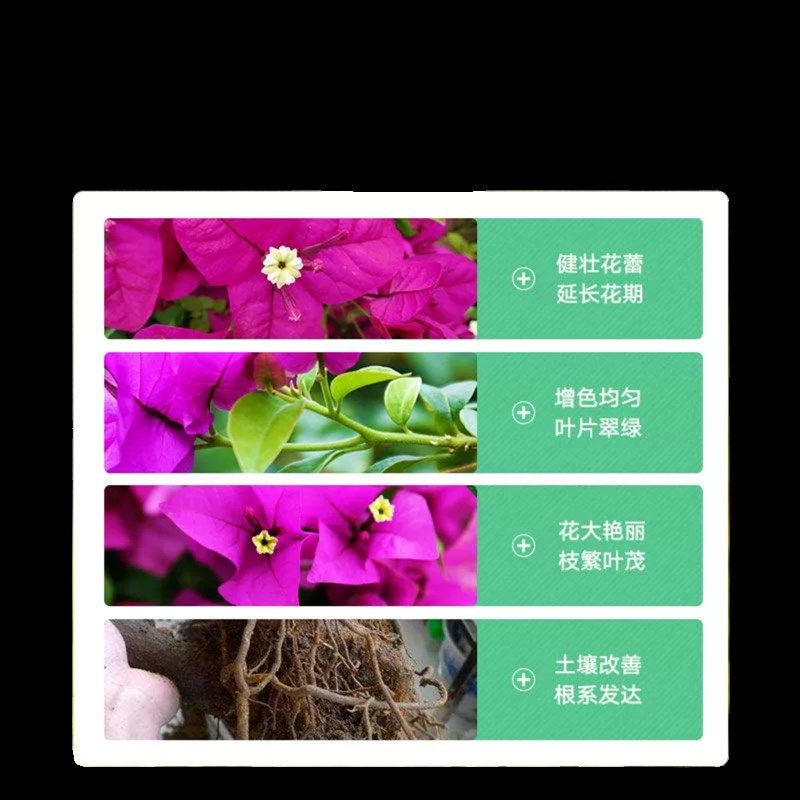 三角梅开花专用肥爆花营养液促花养花复合肥家用盆栽通用水溶性肥,鲜花速递/花卉仿真/绿植园艺,家庭园艺肥料,淘宝优惠券,粉丝福利购,淘宝优惠卷