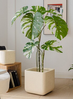 正方形镁泥花盆北欧大号口径水泥简约方盆龙血树龟背竹绿植盆景盆