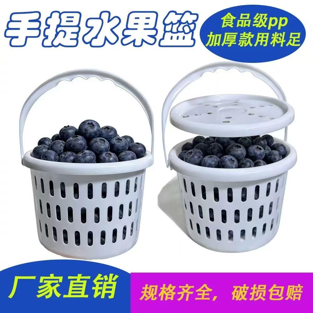 带盖水果蓝莓塑料篮圆形手提篮1斤2斤水果篮桑葚樱桃杨梅采摘篮