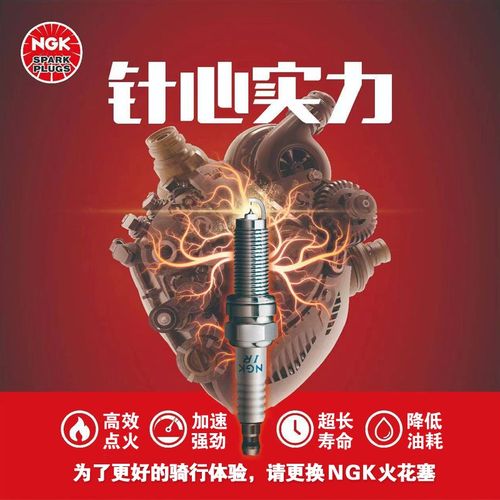 适用赛科龙RX1 RZ3S RT3 RG3 RC401 RA RE600 RX500火花塞