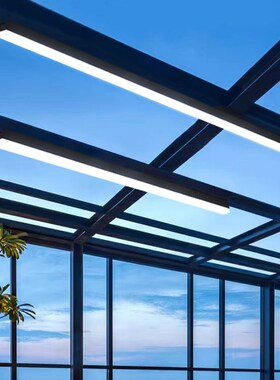 阳光房专用长条灯智能遥控阳台灯防雨防虫耐高温玻璃吸顶灯雨棚灯