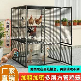鸡笼子家用加粗大号养殖笼折叠鸭笼鹅笼狗笼自动滚蛋鸡笼