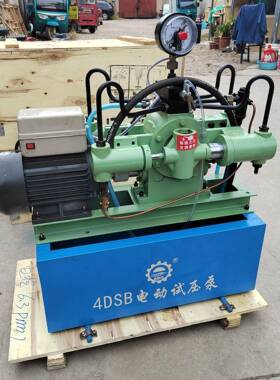 压力自控式电动打压泵可调压保压4DSY管道测压泵4DSB电动试压泵
