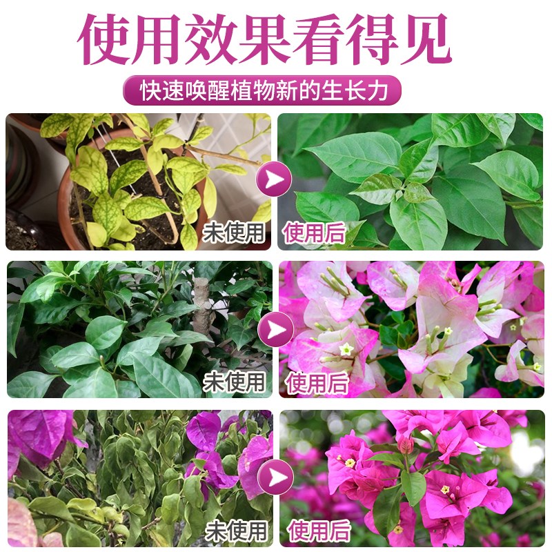 三角梅专用营养液免稀释肥料治叶子发黄掉叶开花专用肥促花