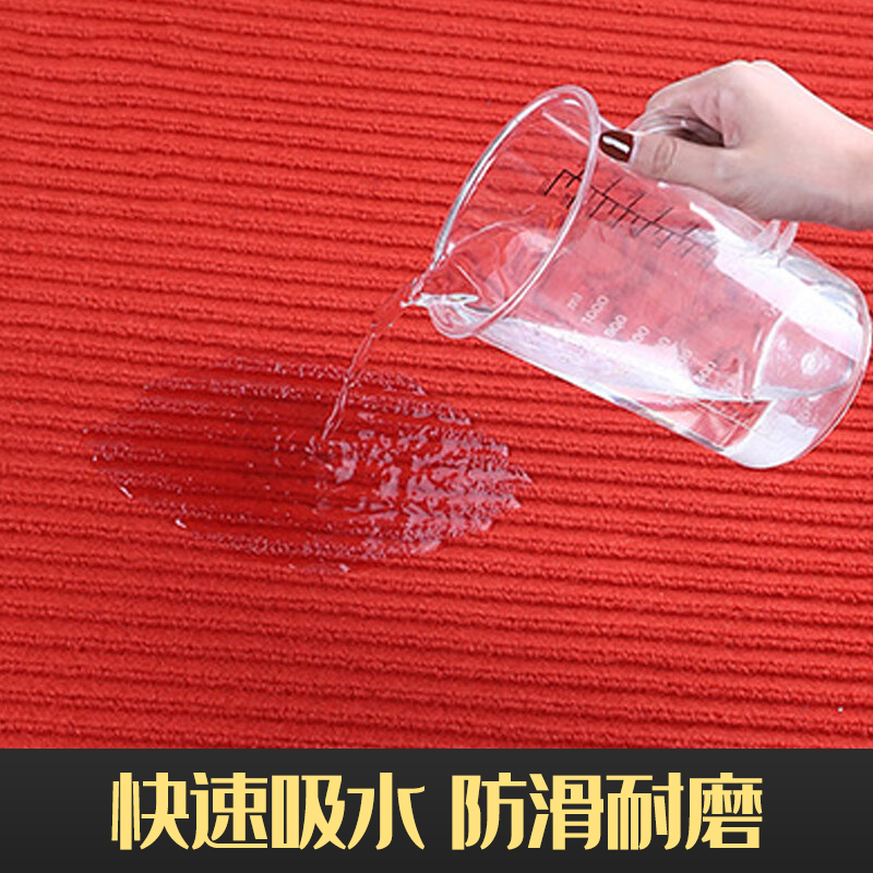 家用日用地毯门垫进门脚垫大面积门口防水滑吸水迎宾入进户门地垫
