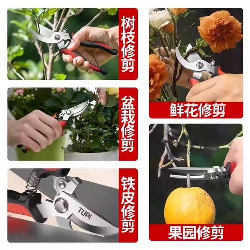 花剪园艺剪刀修枝剪强力省力花卉鲜花花艺师专用不锈粗枝剪子套装