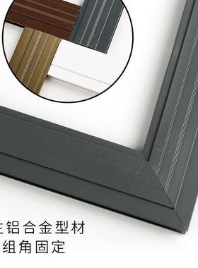 隐形纱窗自装用推家拉式ZXW沙窗钢铝合金纱纱窗金塑刚网防蚊平移