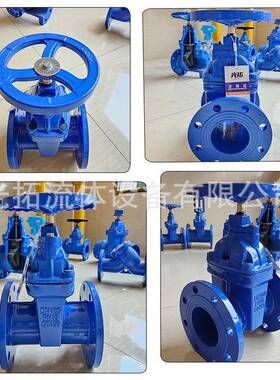 铸LJR铁闸阀45X-1密6ZQ中体大V体法兰软封闸阀RHX暗杆闸阀