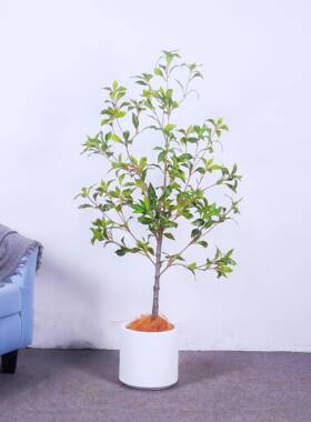 仿真马式醉木中日装酒店jw05893客厅盆橱窗服落地花艺造景绿植物