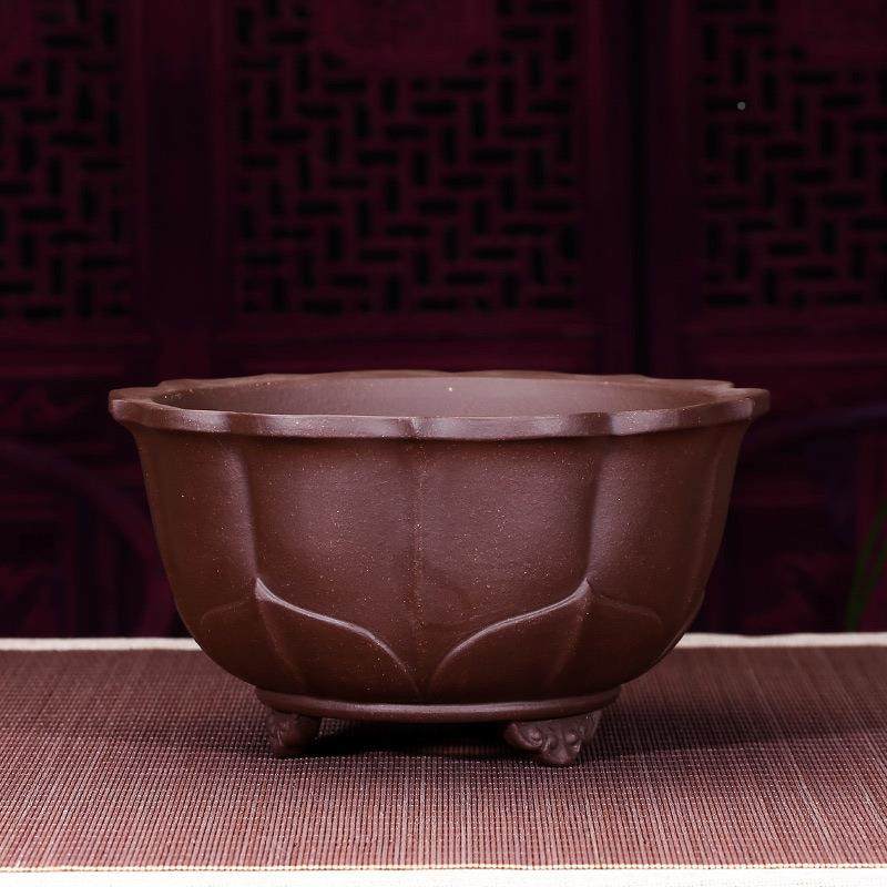 紫砂盆花蝶盆仿多肉菖古蒲盆景盆兰花盆君子兰蝴兰百合栽阳a8台摆,家居饰品,花盆,淘宝优惠券,粉丝福利购,淘宝优惠卷