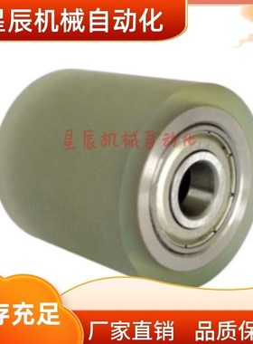 RORHA25-20 25 30 40 50 60 70 80 90 100 包胶滚轮滚轮 带轴承型