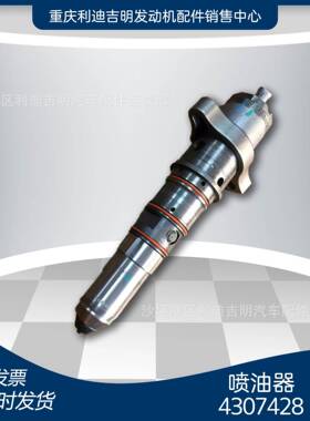 k19银色 黑色 白色 喷油嘴 柴油发电机组配件 4307428喷油器零件