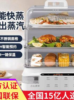电蒸锅外置加家用水容量多功箱能蒸煮一体全自动电大1蒸早餐机