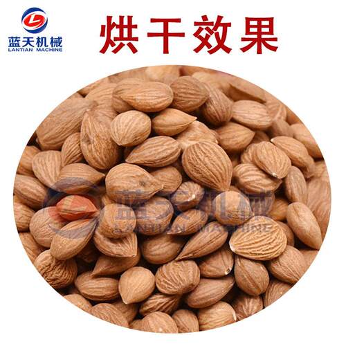桃仁烘LT-STR干机小型核电加热桃山毛桃山烘干房仁智能桃仁烘干机