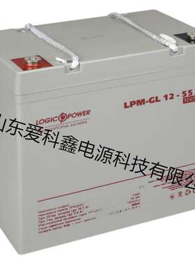 Logicpower蓄电池 LPM-GL12-55AH 12V55AH 铅酸免维护电池